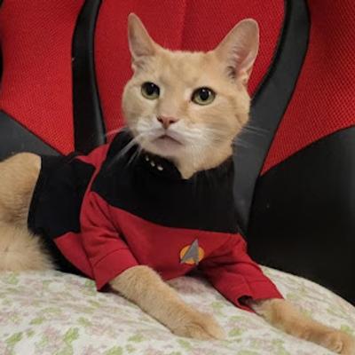 jenny753@indiepocalypse.social