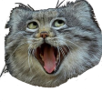 firepuff_pallas