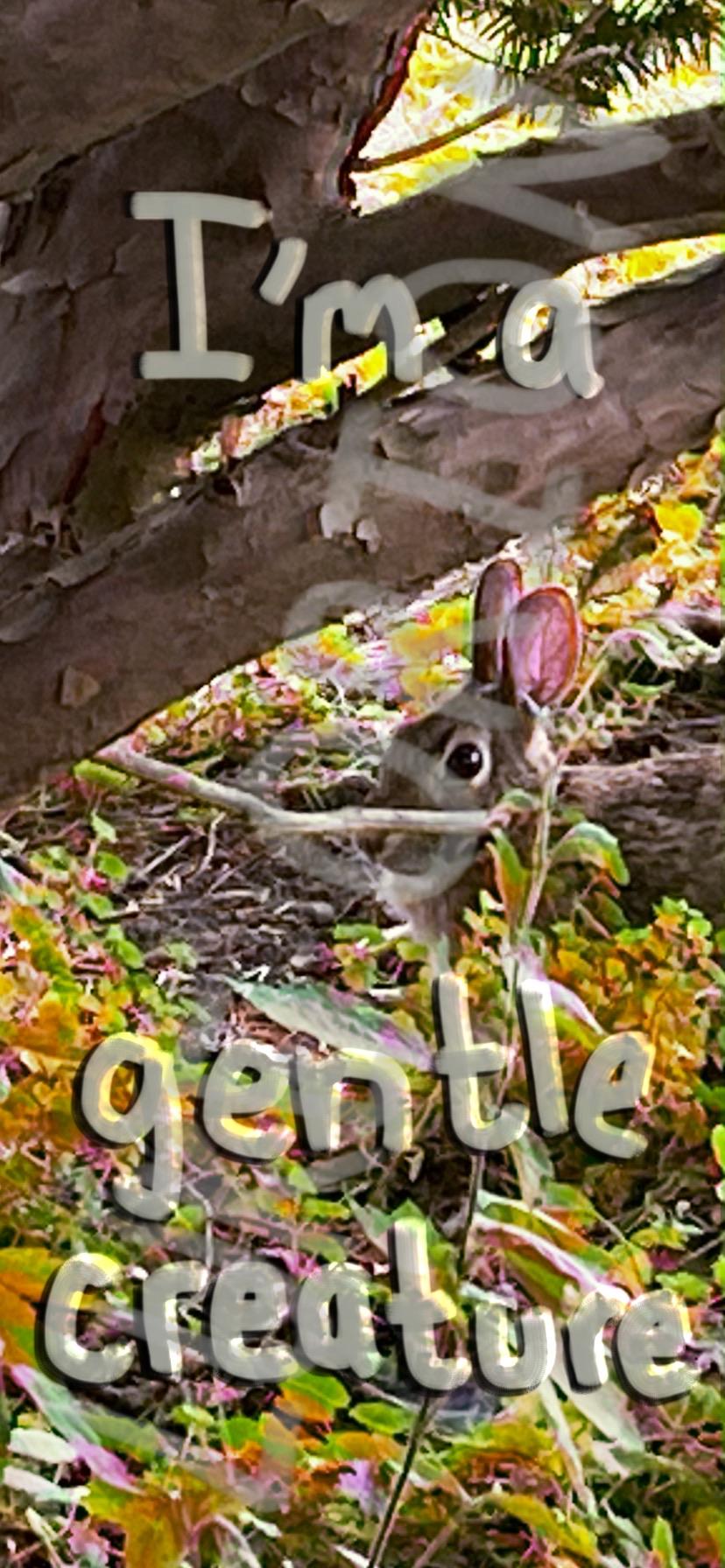 A bunny is partially hidden among colorful foliage and branches, with text overlay that reads, "I'm a gentle creature."