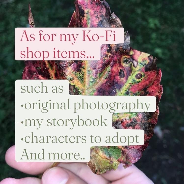 A hand holding a colorful, partially dried leaf, with text overlay promoting items available in a Ko-Fi shop, including original photography, a storybook, and adoptable characters.
