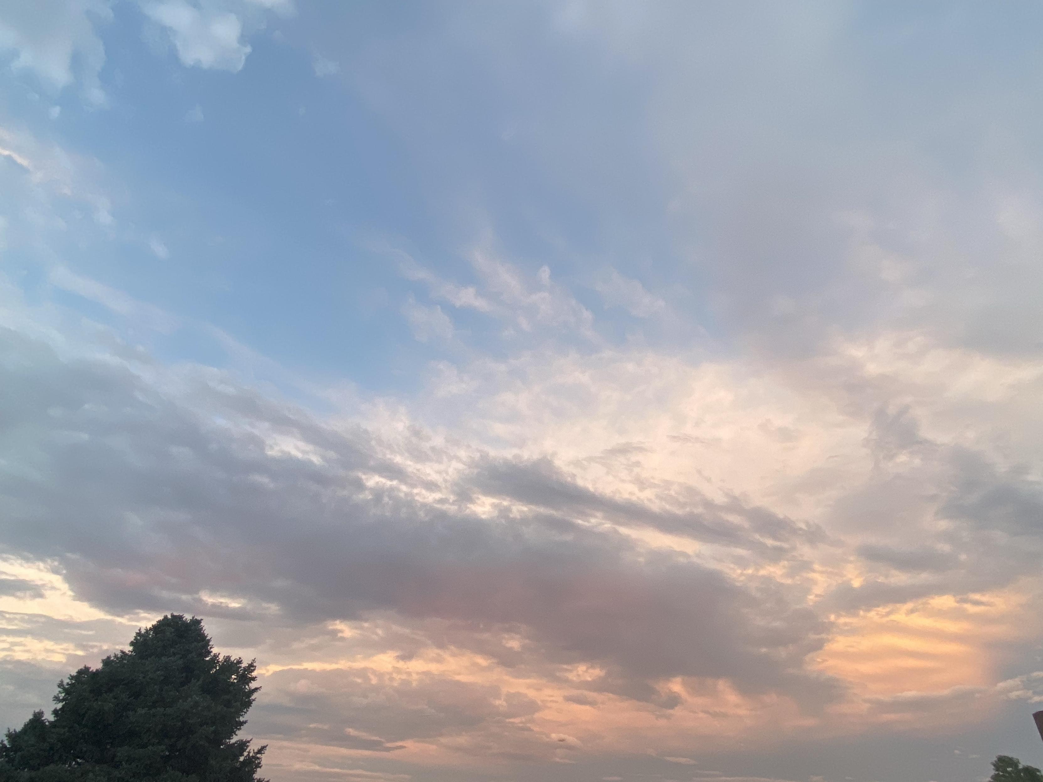 A partially cloudy sky at dusk, featuring soft hues of blue, pink, and orange, with a silhouetted tree in the foreground.